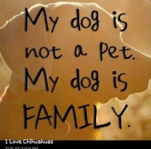 Meet your Posher, Terry